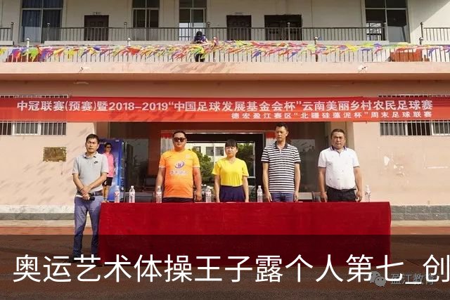 奥运艺术体操王子露个人第七 创中国历史最好成绩
